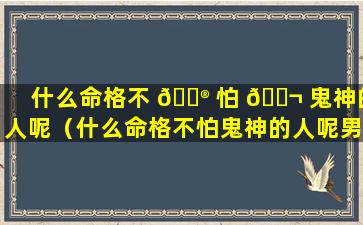 什么命格不 💮 怕 🐬 鬼神的人呢（什么命格不怕鬼神的人呢男生）